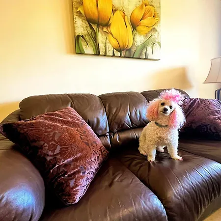 Apartment Serene Family Oasis: Poolside Retreat With Convenient Amenities